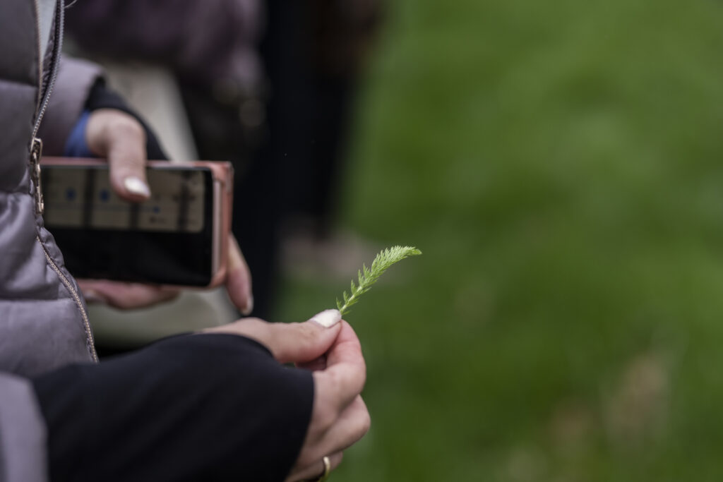 Close up of someone holding a small green plant piece.