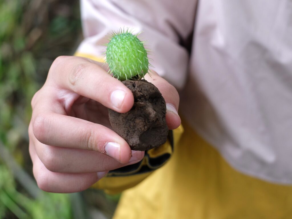 A closeup of a light skinned hand holding a clay face with a green plant on top.