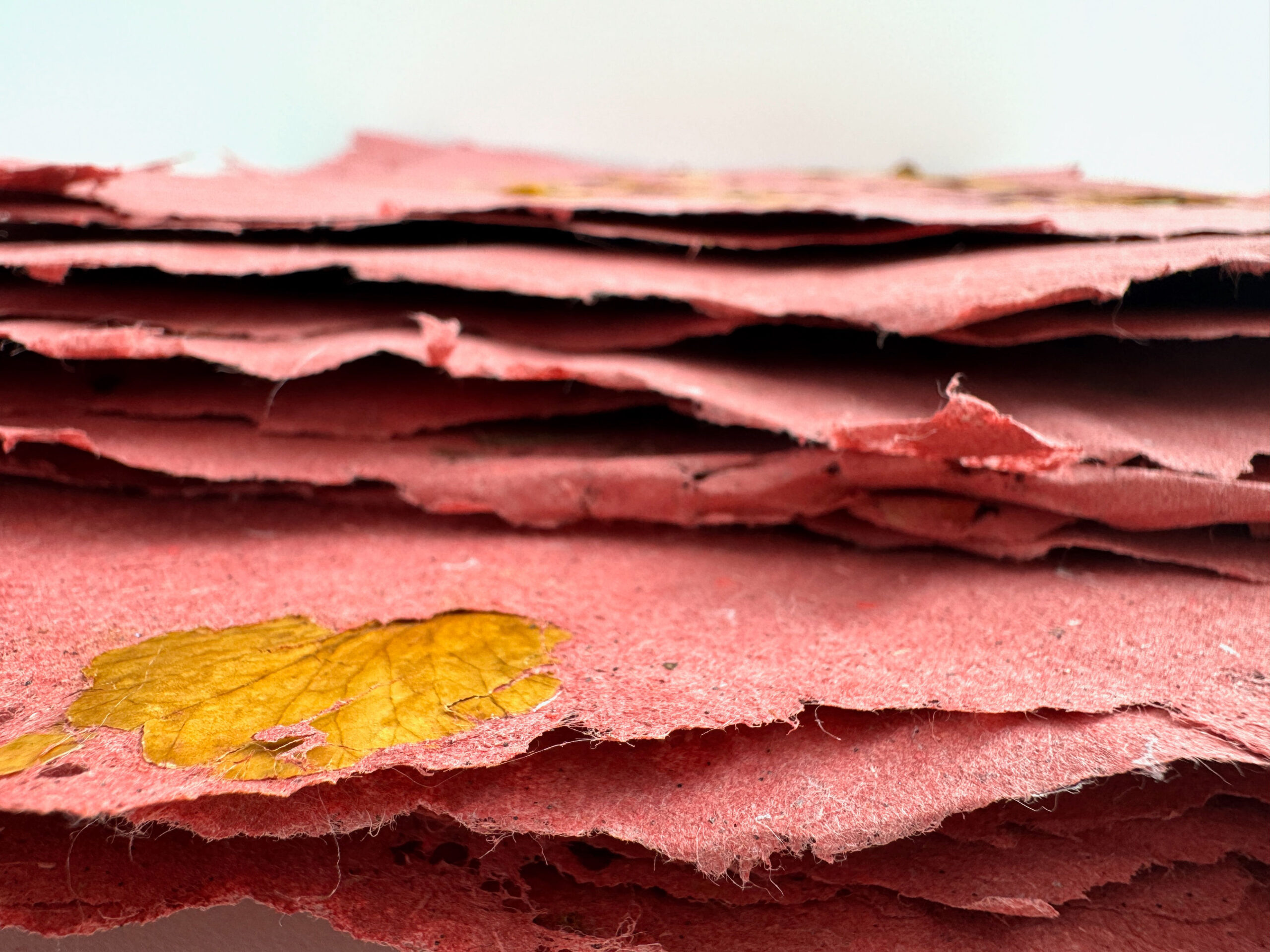 Stacks of thick, uneven pink paper with leaves embedded into it.