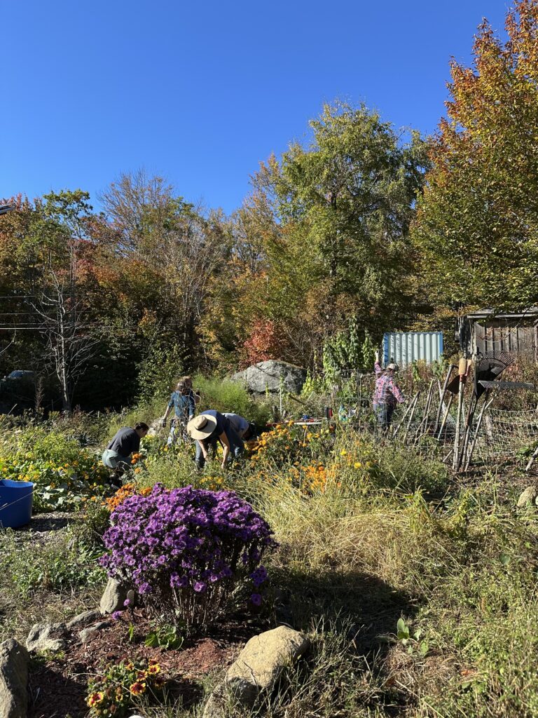 People working and performing different tasks at an outdoor garden.