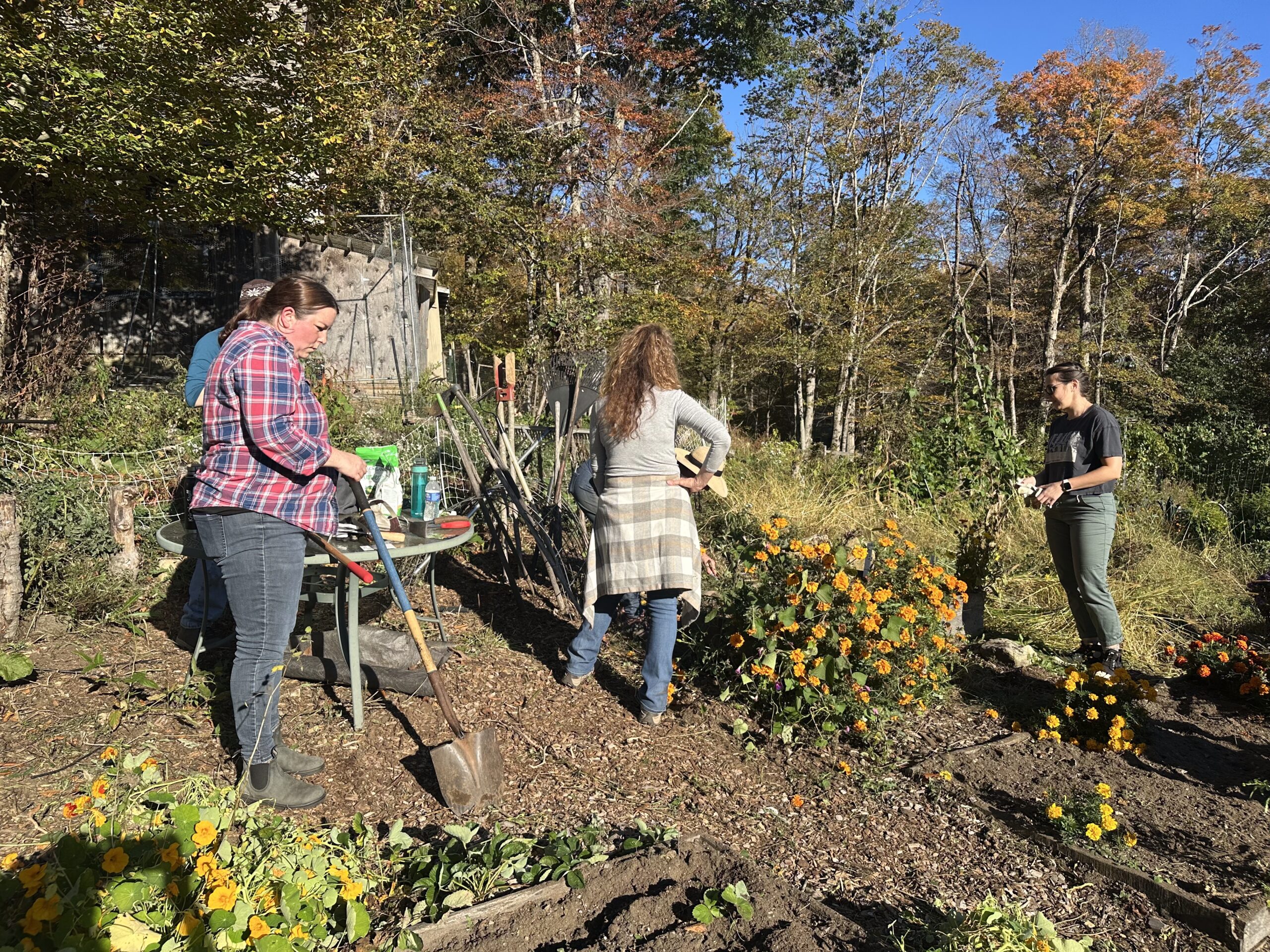 People standing and working in an outdoor garden. There are tall trees in the background and brightly colored flowers blooming off small shrubs by the people.