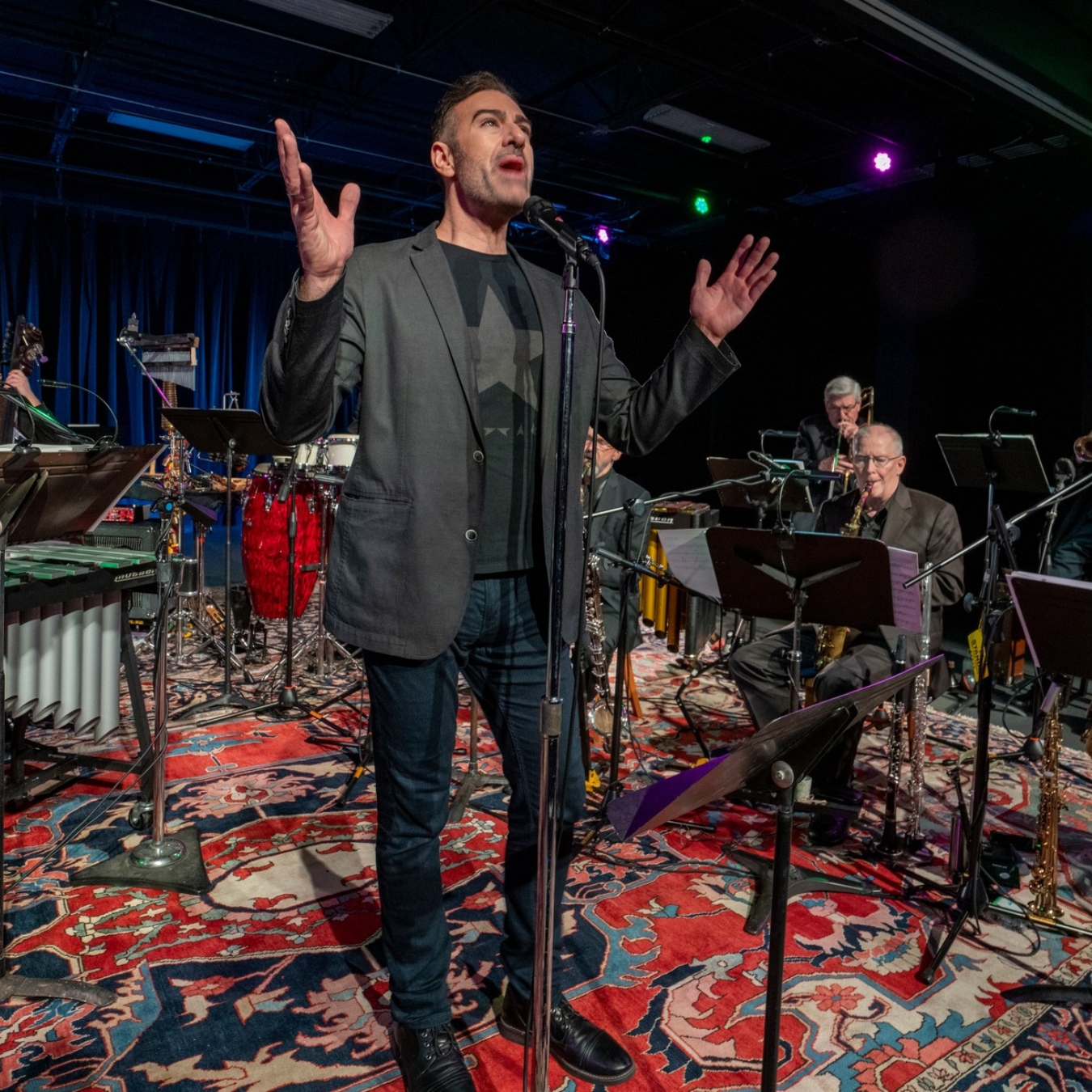 A person singing into a microphone on stage, backed by several musicians playing various instruments.